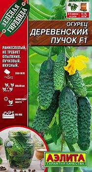 Огурец Деревенский пучок F1 ц/п Аэлита *29