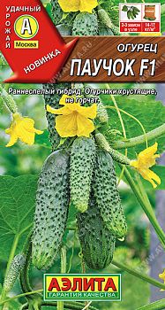 Огурец Паучок F1 ц/п Аэлита*29