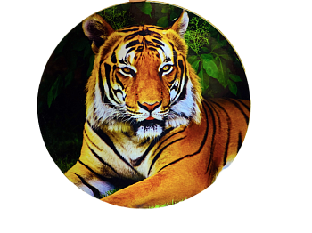 Подставка под горячее Новый Год Тигра круглая Д20см 1/250