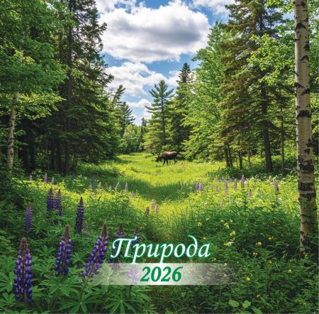 d2ba06a6-eb4c-496a-a39c-717213a4eca5_1