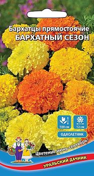 Цветы Бархатцы прямостоячие Бархатный Сезон ц/п Марс 
