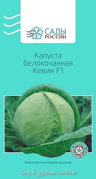 Капуста Кевин F1 ц/п СибС Капуста Кевин F1 ц/п СибС