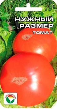 Томат Нужный размер ц/п СибС Ср Томат Нужный размер ц/п СибС Ср