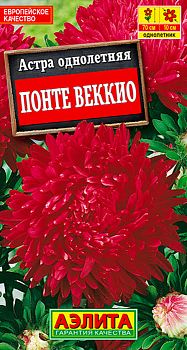 Цветы Астра Понте Веккио пионовидная ц/п Аэлита*27 Цветы Астра Понте Веккио пионовидная ц/п Аэлита*27