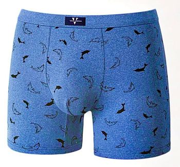 Трусы М. 2шт. VERICON бокс удлин. XL-4XL 4/12/216