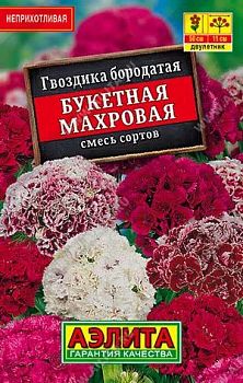 Цветы Гвоздика Букетная махровая, смесь лидер Аэлита*28 Цветы Гвоздика Букетная махровая, смесь лидер Аэлита*28