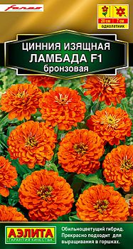 Цветы Цинния Ламбада F1 бронзовая ц/п Аэлита*28 од Цветы Цинния Ламбада F1 бронзовая ц/п Аэлита*28 од