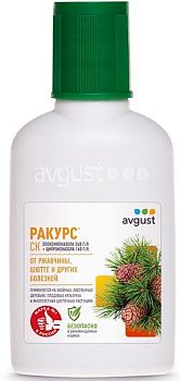 Ракурс 4 мл  Август