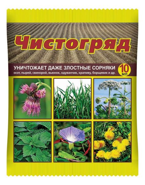chistogryad-jpg