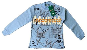 Толстовка детская с начёсом 5-8г по 4шт