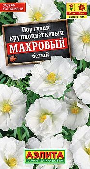 Цветы Портулак Махровый белый ц/п Аэлита*27 од Цветы Портулак Махровый белый ц/п Аэлита*27 од