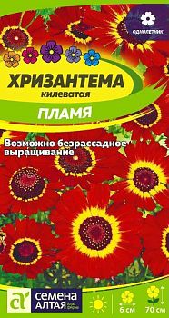 Цветы Хризантема Пламя килеватая/Сем Алт/цп 0,1 гр. (2029)