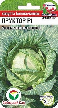 Капуста белокочанная Пруктор F1 ц/п СибС Капуста белокочанная Пруктор F1 ц/п СибС