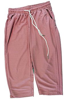 Бриджи Ж. Х.Б. Ласточка 5074 2XL-4XL цветные 12/144