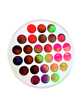 Антистресс Вечная пупырка "Радужный" ТВЕРДЫЙ ПЛАСТИК 400шт