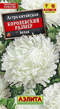 Цветы Астра Королевский размер белая ц\п 0,1г Аэлита*27 Цветы Астра Королевский размер белая ц\п 0,1г Аэлита*27