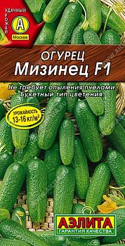 Огурец Мизинец F1 ц/п Аэлита *30