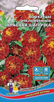 Цветы Бархатцы отклоненные Красная шапочка  ц/п Марс