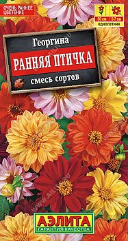 Цветы Георгина Ранняя птичка, смесь махров ц/п 0,3г Аэлита*28 од