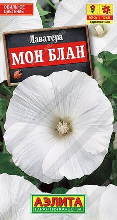 4331