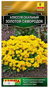 Цветы Алиссум Золотой самородок  ц/п Аэлита*28