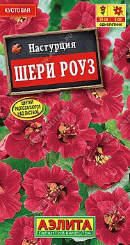 Цветы Настурция Шери Роуз карлик. ц/п 1г Аэлита*27 Цветы Настурция Шери Роуз карлик. ц/п 1г Аэлита*27