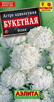 Цветы Астра Букетная белая ц/п Аэлита*27 Цветы Астра Букетная белая ц/п Аэлита*27