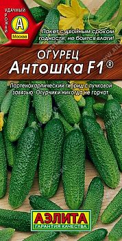 Огурец Антошка F1 ц/п Аэлита *30