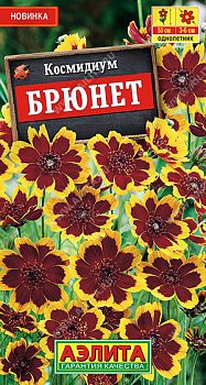 Цветы Космидиум Брюнет ц/п Аэлита *29