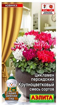 Цветы Цикламен Крупноцветковый, смесь ц/п Аэлита*28