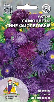 Цветы Астра Самоцветы сине-фиолетовые ц/п Марс Цветы Астра Самоцветы сине-фиолетовые ц/п Марс
