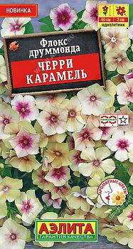 Цветы Флокс друммонда Черри карамель ц/п 0,1г Аэлита*27 Цветы Флокс друммонда Черри карамель ц/п 0,1г Аэлита*27