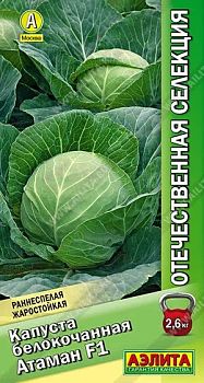 Капуста б/к Атаман F1 ц/п Аэлита*27 Капуста б/к Атаман F1 ц/п Аэлита*27