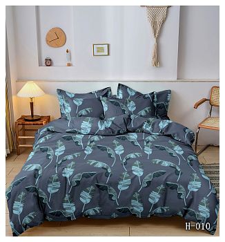 КПБ сатин Galaxy 2сп H/010 125г/м2