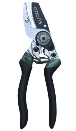 10323