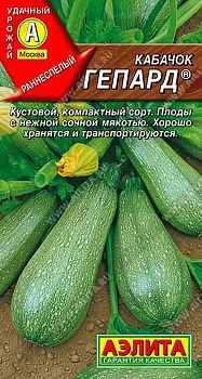 Кабачок цуккини Гепард ц/п Аэлита *30