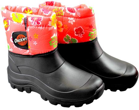 transparent-Photoroom (19)