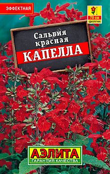 Цветы Сальвия красная Капелла Лидер 0,1 Аэлита *28