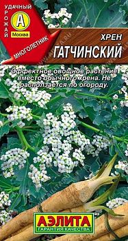 Катран (хрен) Гатчинский ц/п Аэлита*28