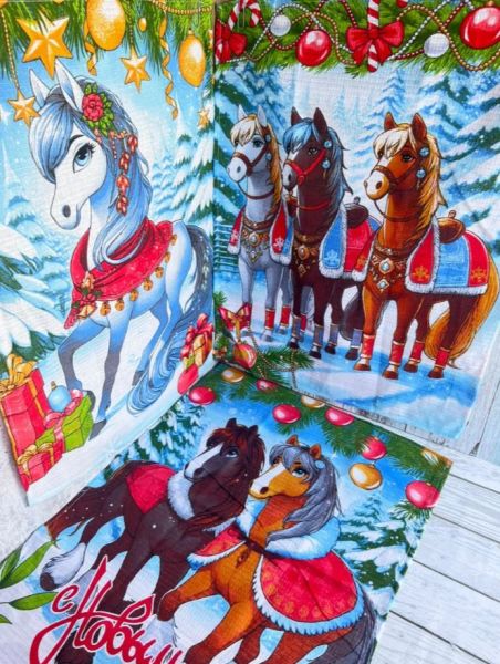 2025-09-24_13-01-12_1