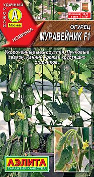 Огурец Муравейник F1 ц/п Аэлита*30