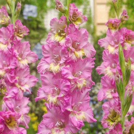 152c290222dd7110b6af585b2793ffa94cc06020_0x0_6f7_1