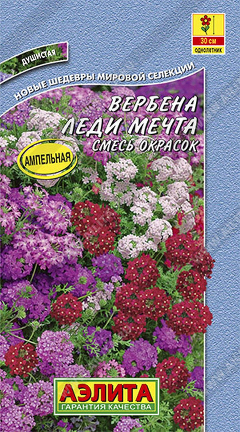 Вербена тонкорассечённая смесь окрасок