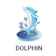 Dolphin
