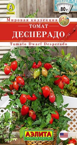 b0379593_5a2c_11eb_80f5_0cc47adb9c64_7291fe57_c373_11eb_80f7_0cc47adb9c64