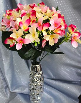 Жасмин 50см 1/10