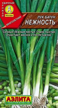 Лук батун Нежность ц/п Аэлита *28