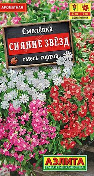 Цветы Смолевка Сияние звезд, смесь ц/п Аэлита*28