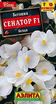 Цветы Бегония Сенатор вечноцв белая ц/п 10шт Аэлита*29