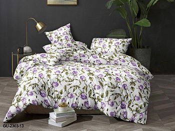 КПБ полисатин Аэлита 2сп+европрост Текстильная симфония Рапсодия 2 85г/м2